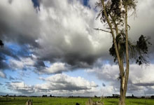 球派体育NBA直播好用吗？看球体验、资源覆盖、使用细节全解析